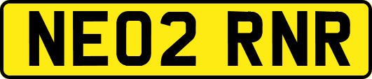NE02RNR