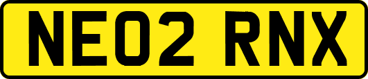 NE02RNX