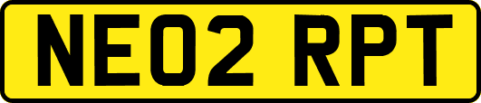 NE02RPT