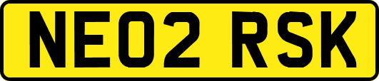 NE02RSK
