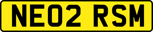 NE02RSM