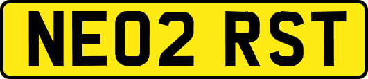 NE02RST