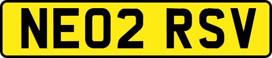 NE02RSV
