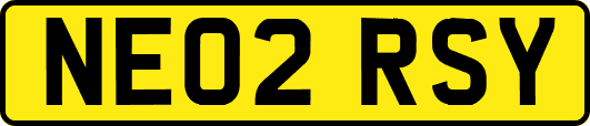 NE02RSY