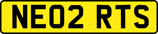 NE02RTS
