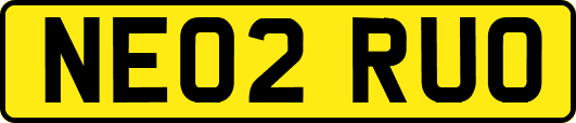 NE02RUO