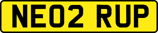 NE02RUP