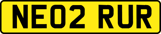 NE02RUR