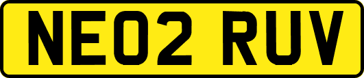 NE02RUV