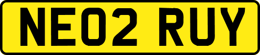 NE02RUY