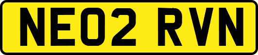 NE02RVN