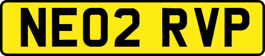 NE02RVP