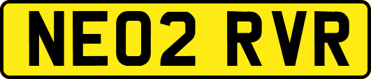 NE02RVR