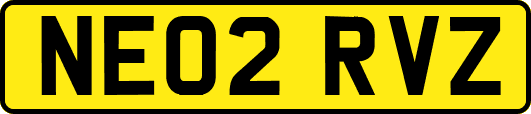 NE02RVZ