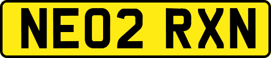 NE02RXN
