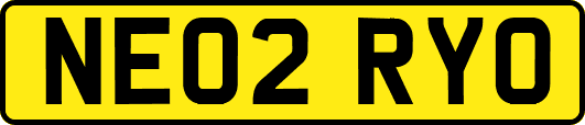NE02RYO