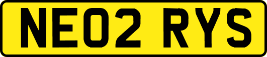 NE02RYS