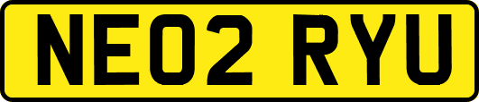 NE02RYU