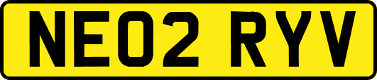 NE02RYV