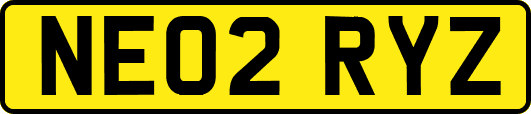 NE02RYZ