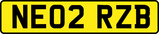 NE02RZB