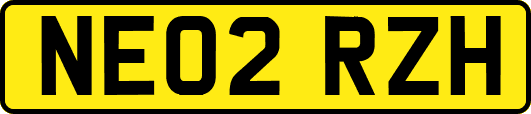 NE02RZH