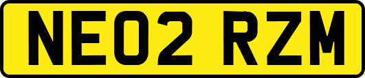 NE02RZM