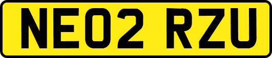 NE02RZU