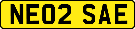 NE02SAE