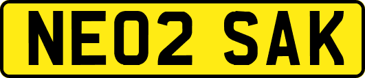 NE02SAK