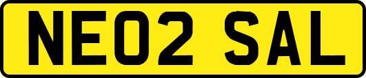 NE02SAL