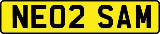 NE02SAM