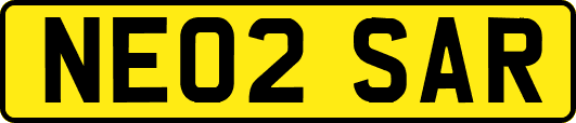 NE02SAR