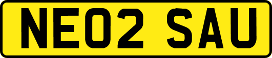 NE02SAU