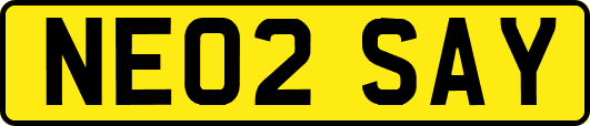 NE02SAY