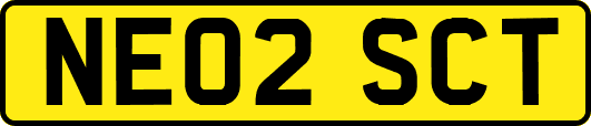 NE02SCT