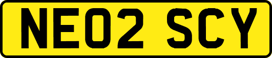 NE02SCY