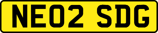 NE02SDG
