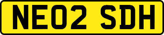 NE02SDH