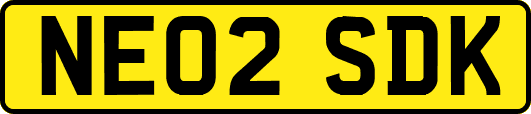 NE02SDK
