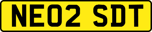 NE02SDT