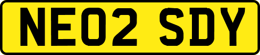 NE02SDY