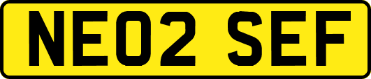 NE02SEF