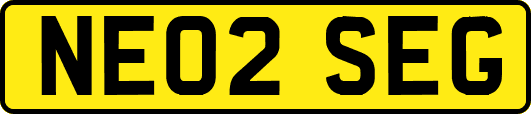 NE02SEG