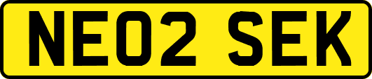 NE02SEK