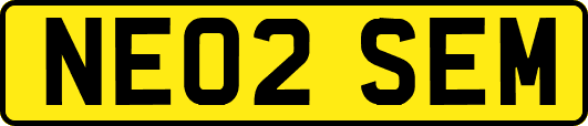 NE02SEM