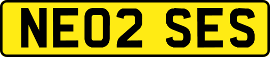 NE02SES