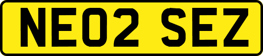 NE02SEZ