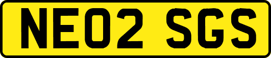 NE02SGS