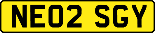 NE02SGY